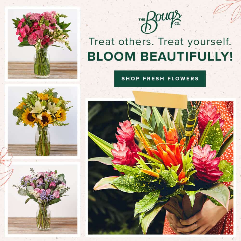 The Bouqs Co. - Shop Fresh Flowers