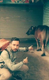 Man Pointing at Cow
