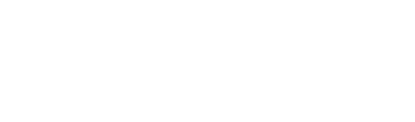 Noodle Logo